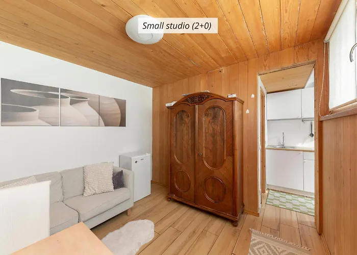 Iq Wood Apartmán Lublaň